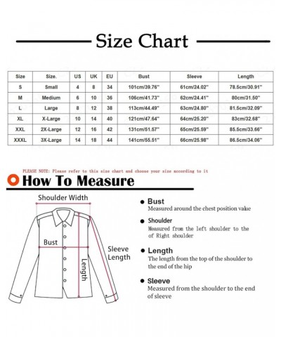 Womens 2023 Winter Fashion Plus Size Sherpa Jacket Fleece Warm Hoodie Outwear Plush Sweatshirt Thick Fuzzy Tops A-blue Prime ...