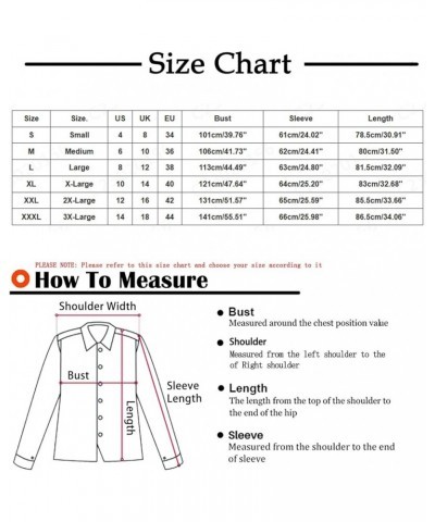 Womens 2023 Winter Fashion Plus Size Sherpa Jacket Fleece Warm Hoodie Outwear Plush Sweatshirt Thick Fuzzy Tops A-blue Prime ...