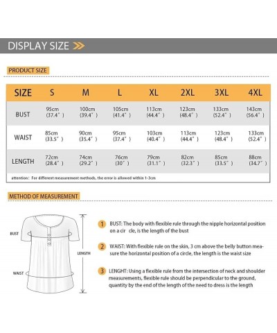 Rose Tunic Tops for Women Blue Rose Short Sleeve Flare T-Shirts Rose Flowers V-Neck Button Up Pleated Top Dandelion Musical N...