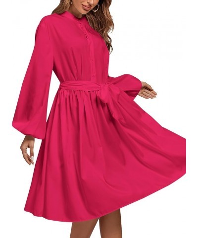 Women's Causal Crewneck Tie Waist Lantern Long Sleeve Ruffle A Line Flare Midi Dress Rose $19.36 Dresses