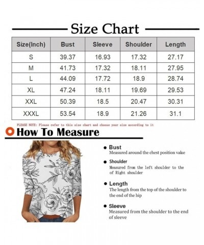 3/4 Sleeve Shirts for Women Crewneck Loose Plus Size Tops,Casual Summer Blouses 2024 Dressy Elegant Graphic Tees 01-light Gra...