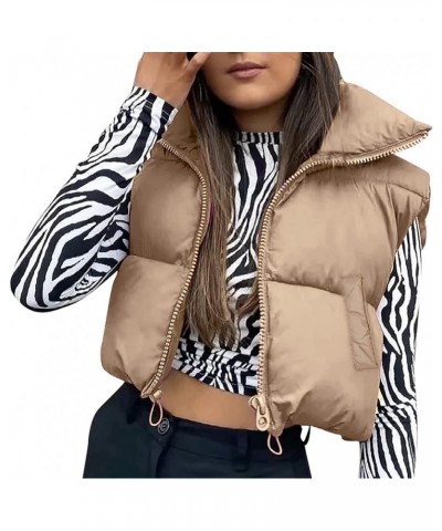 Women Stand Collar Cropped Puffer Vest Sleeveless Zipper Padded Gilet Lightweight Winter Warm Outerwear With Pocket Light Bro...