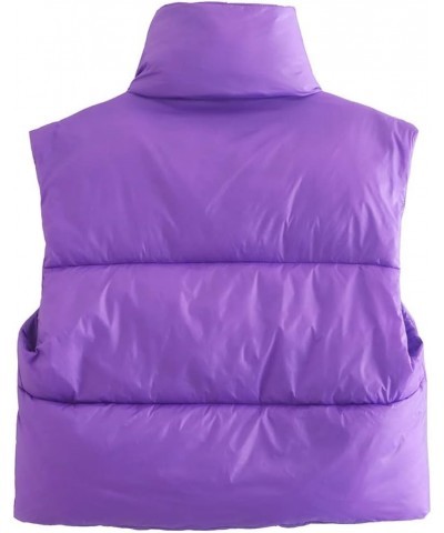 Women's Winter Crop Vest Lightweight Sleeveless Warm Outerwear Puffer Vest Padded Gilet Purple $19.73 Vests