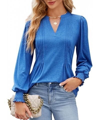 Womens Business Casual Tops Long Sleeve Polo Shirts V Neck Work Blouse Fall Clothes 2023 Blue $10.50 Shirts