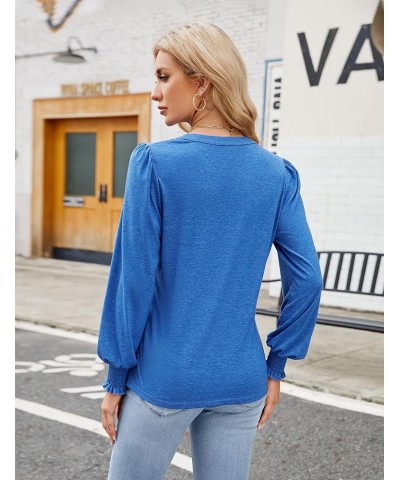 Womens Business Casual Tops Long Sleeve Polo Shirts V Neck Work Blouse Fall Clothes 2023 Blue $10.50 Shirts