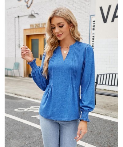 Womens Business Casual Tops Long Sleeve Polo Shirts V Neck Work Blouse Fall Clothes 2023 Blue $10.50 Shirts