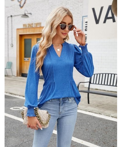 Womens Business Casual Tops Long Sleeve Polo Shirts V Neck Work Blouse Fall Clothes 2023 Blue $10.50 Shirts