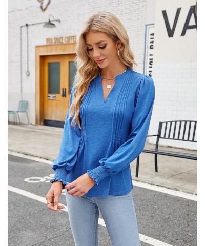 Womens Business Casual Tops Long Sleeve Polo Shirts V Neck Work Blouse Fall Clothes 2023 Blue $10.50 Shirts