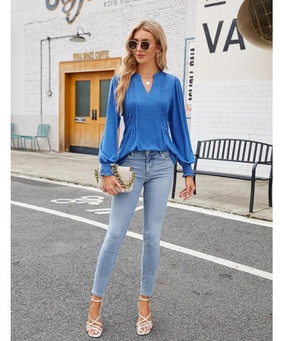 Womens Business Casual Tops Long Sleeve Polo Shirts V Neck Work Blouse Fall Clothes 2023 Blue $10.50 Shirts