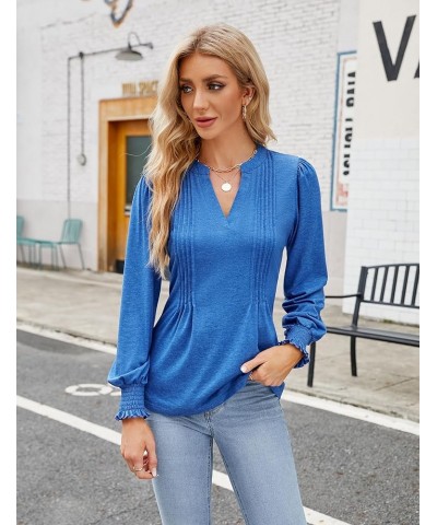 Womens Business Casual Tops Long Sleeve Polo Shirts V Neck Work Blouse Fall Clothes 2023 Blue $10.50 Shirts