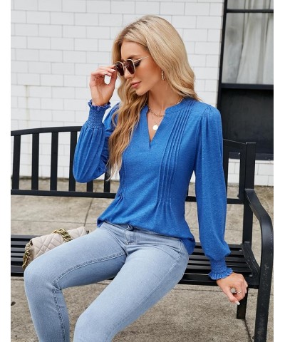 Womens Business Casual Tops Long Sleeve Polo Shirts V Neck Work Blouse Fall Clothes 2023 Blue $10.50 Shirts