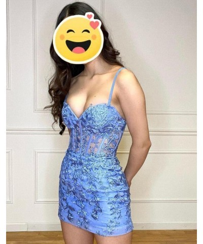 Homecoming Dresses Short Cocktail Sweethear - 2024 Short Prom Dress Lace Prom Dresses Light Blue $29.57 Dresses