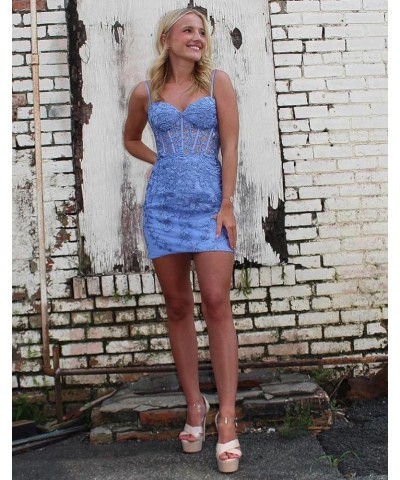 Homecoming Dresses Short Cocktail Sweethear - 2024 Short Prom Dress Lace Prom Dresses Light Blue $29.57 Dresses